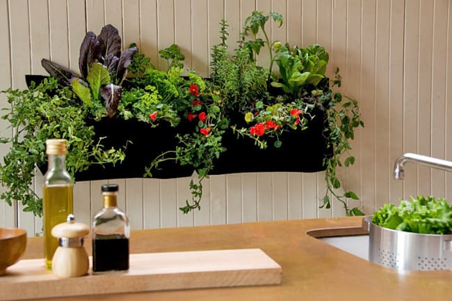 DIY Apartment Garden Example