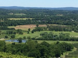 Landscape Around D.C. Bluemont Vineyard