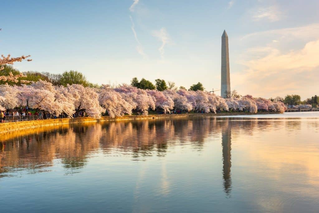 The Tidal Basin