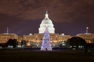 Christmas in Washington DC