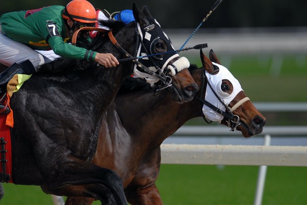 Washington DC Horse Racing