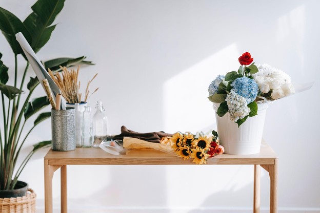 Colorful Indoor Plants