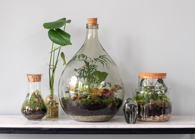 DIY Gardens for Your Apartment